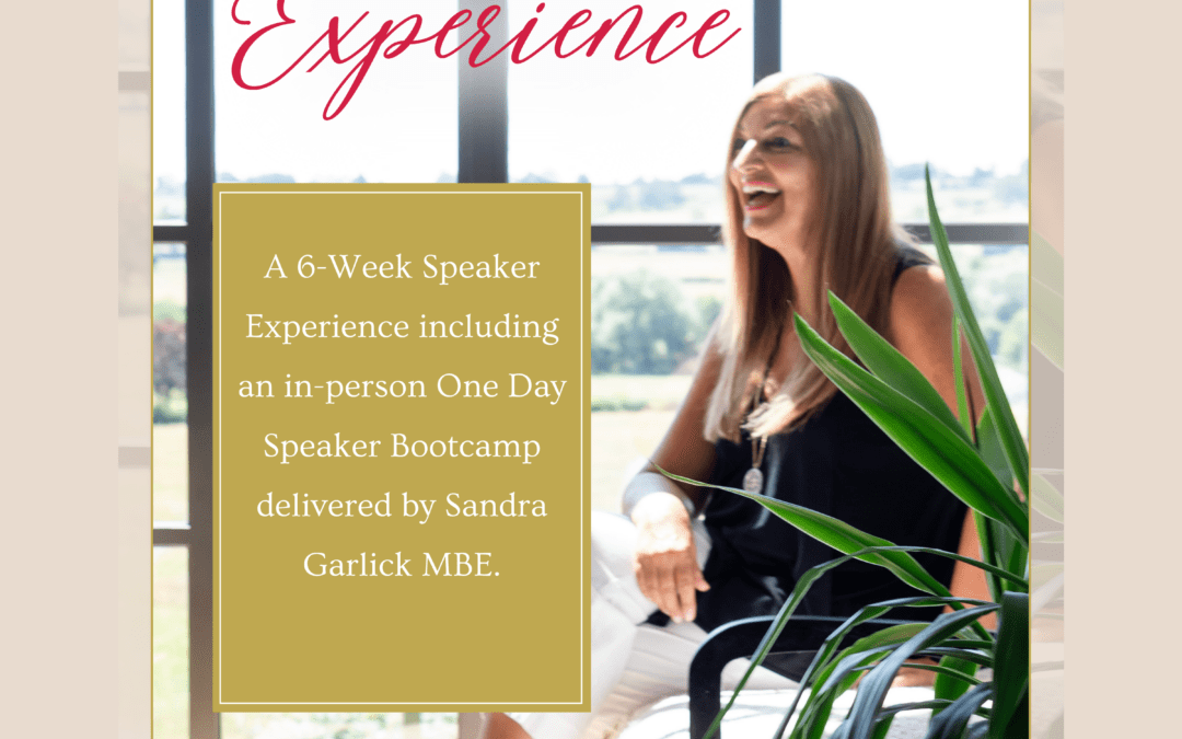 Mic Drop Mastery Speaker Experience